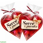 Пряник у шоколаді Серце Serce z piernika 90 г