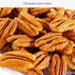 Пекан чищений 1 кг Америка
