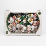 Цукерки "Персик із волоським горіхом", Amanti, Україна, 1 кг.