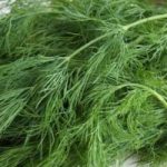 Насіння кропу, 1 кг