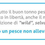 Тунець в натуральній мінеральній воді Naturalmente Mare Aperto, 3 x 80 г Італія