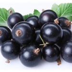 Чай Green Hills з ожиною 20 пірамідок Польща