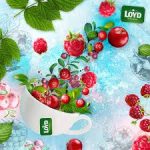 Чай із журавлиною та малиною Loyd Cranberry&Raspberry 20 пірамідок Польща
