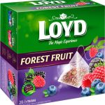 Чай із лісовими фруктами Loyd Forest Fruit 20 пірамідок Польща