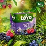 Чай із лісовими фруктами Loyd Forest Fruit 20 пірамідок Польща