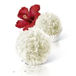 Цукерки Raffaello Confetteria Ferrero (29штук) 300 г Німеччина