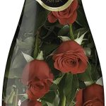 Вино ігристе Cava Jaume Serra Brut біле брют 0.75 л 11.5% Іспанія