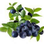 Чорничний соус для м'ясних та інших страв Nasza Spizaruia 300 г Польща