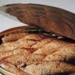 Шпроти в олії MK Winter Premium, 160 г Польща