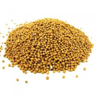 Гірчиця зерно, 300 г