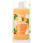 Відновлювальний шампунь з аргановою олією і жасмином Betres 750 мл Іспанія