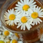 Чай ромашковий Pickwick Herbal Camomile 20пак. 30 г Нідерланди