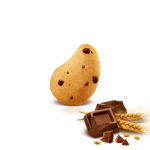 Печиво з шоколадною крихтою БЕЗ ПАЛЬМОВОЇ ОЛІЇ Gociolotti Balocco 350g Італія