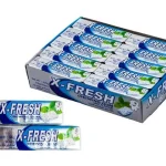 Жувальна гумка м'ята X-Fresh Chewing Gum Mint Flavour (10 подушечок) 14 г Туреччина