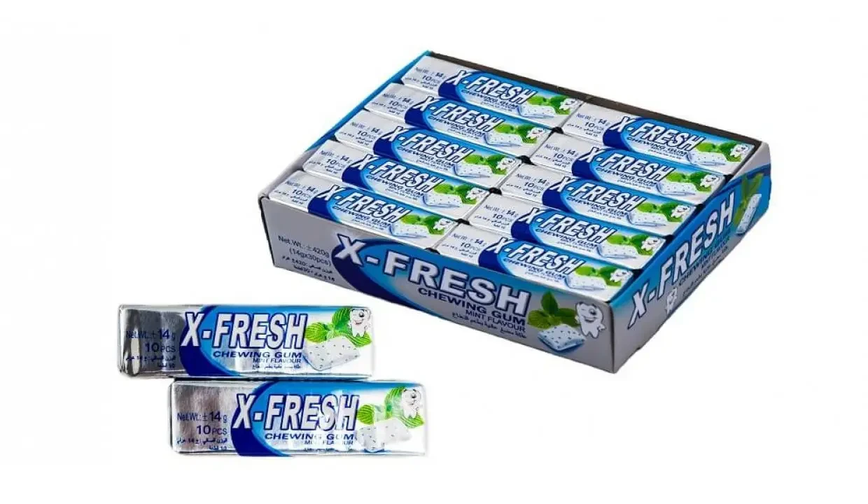 Жувальна гумка м'ята X-Fresh Chewing Gum Mint Flavour (10 подушечок) 14 г Туреччина