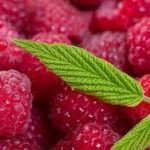 Вітамін С цукерки з декстрозою малиновий смак PEZ dextrose Vitamin C 39г Австрія