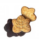 Печиво здобне олійне з шоколадом Listki maslane zdobione 260г Польща