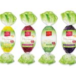 Яйце Марципан з родзинками та рому в молочному шоколаді Favorina Marzipan Egg Rum&Raisin Truffle 100 г Німеччина