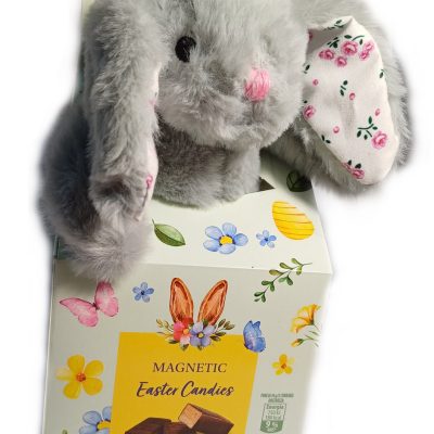 Подарунковий набір Іграшка Зайчик + Асорті щіколадних цукерок 90 г Magnetic Easter Candies Польща