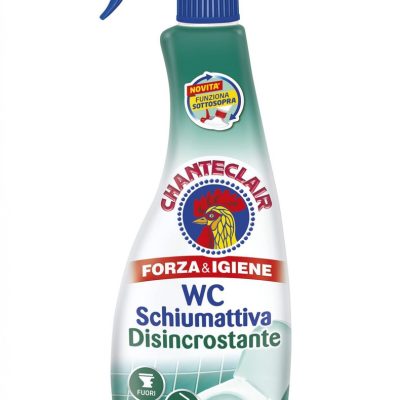 Активна піна для чищення унітазу Chanteclair Forza&Igiene WC Schiumattiva Disincrostante 625мл Італія