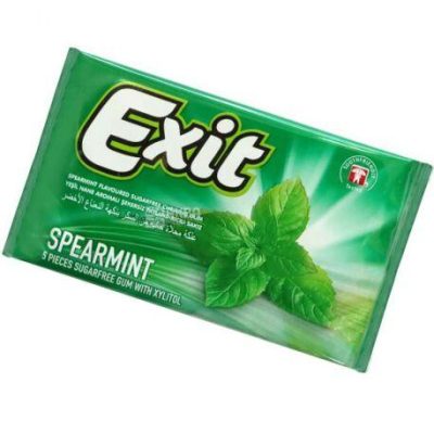 Жувальна гумка БЕЗ ЦУКРУ зі смаком м'яти в пластинках Exit 11г/5шт Туреччина