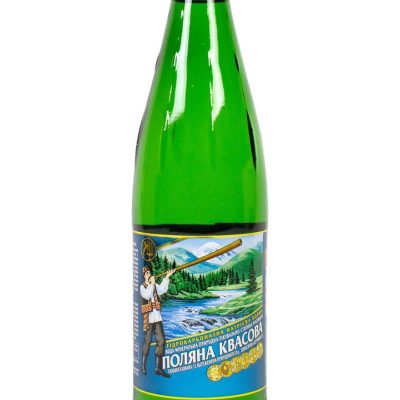 Вода сильногазована Поляна Квасова 0,5 л ст/бут