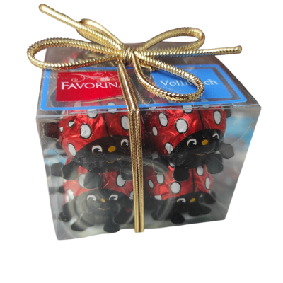 Шоколадні цукерки з молочним шоколадом усередині Сонечки Favorina (16 шт.) 100 г Німеччина